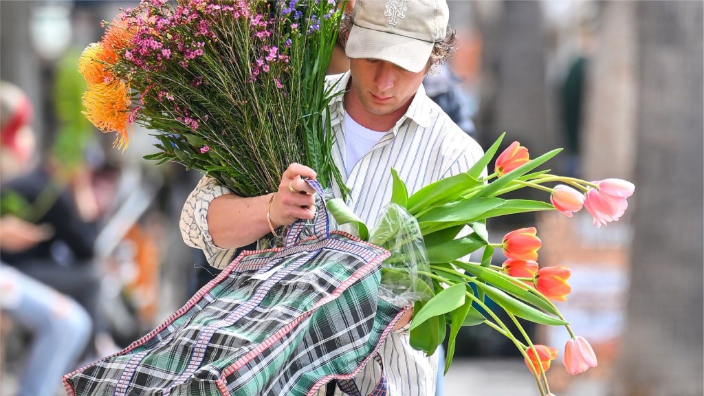 JEREMY ALLEN WHITE 文章 BANNER 01 1